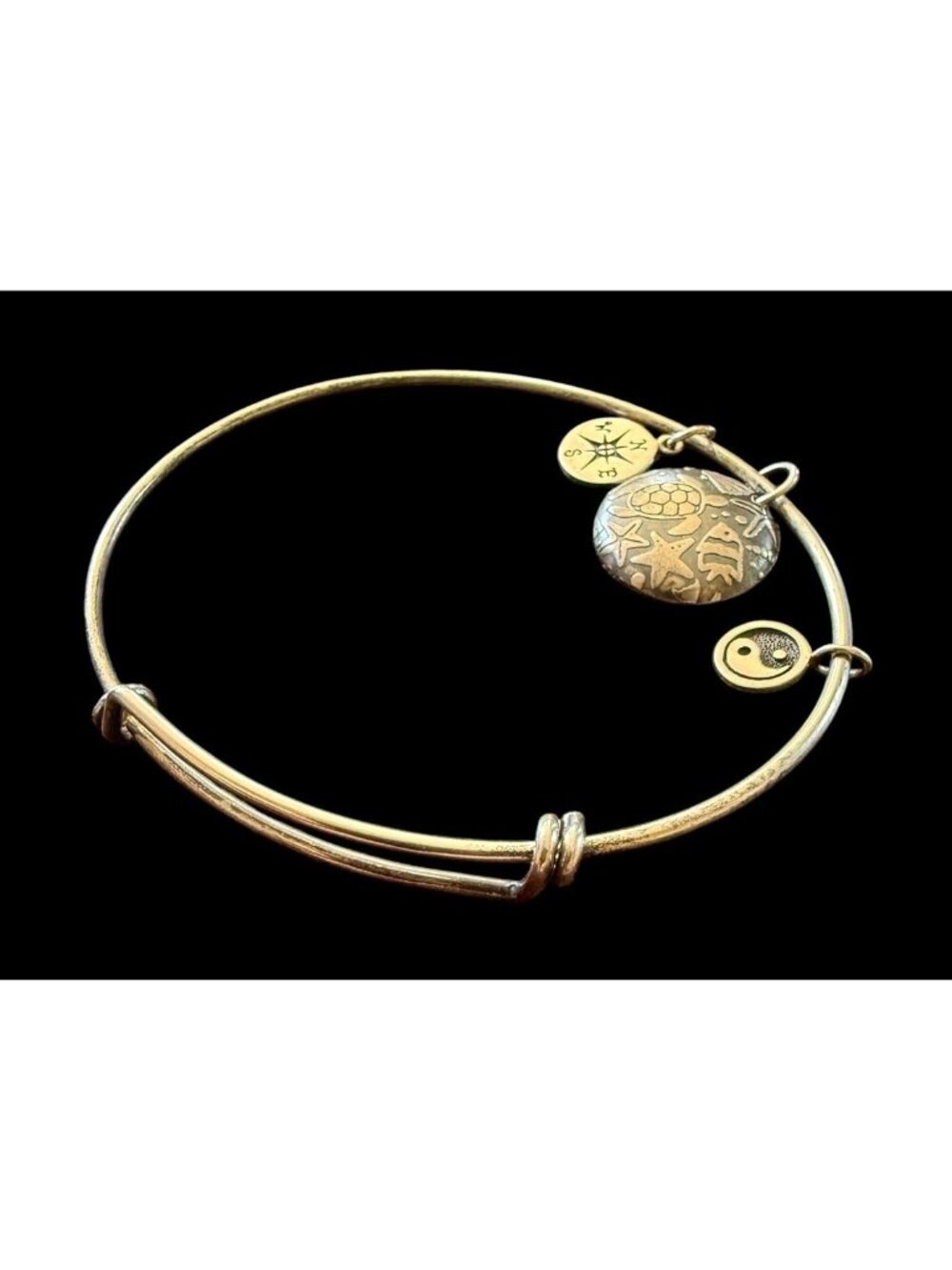 925 Sterling Silver Ocean Sea Life Charm Bangle Bracelet Turtle Starfish Compass